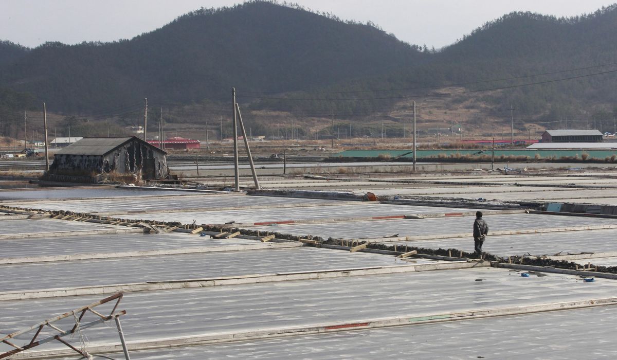 NextImg:U.S. blocks sea salt imports from South Korean salt farm over forced labor concerns