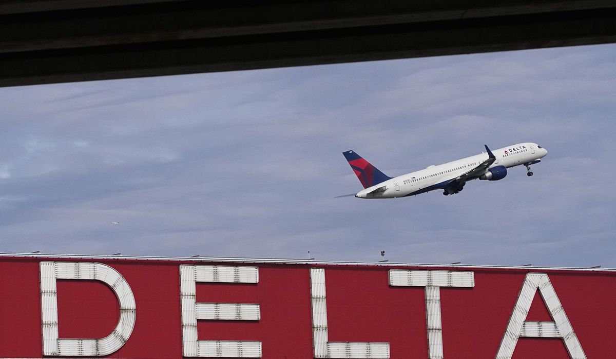 NextImg:WATCH: Passengers take on pigeons flying inside Delta jet