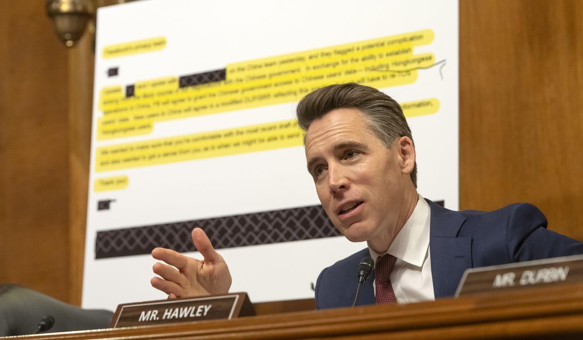 NextImg:Hawley investigates groups allegedly linked to L.A. rioters