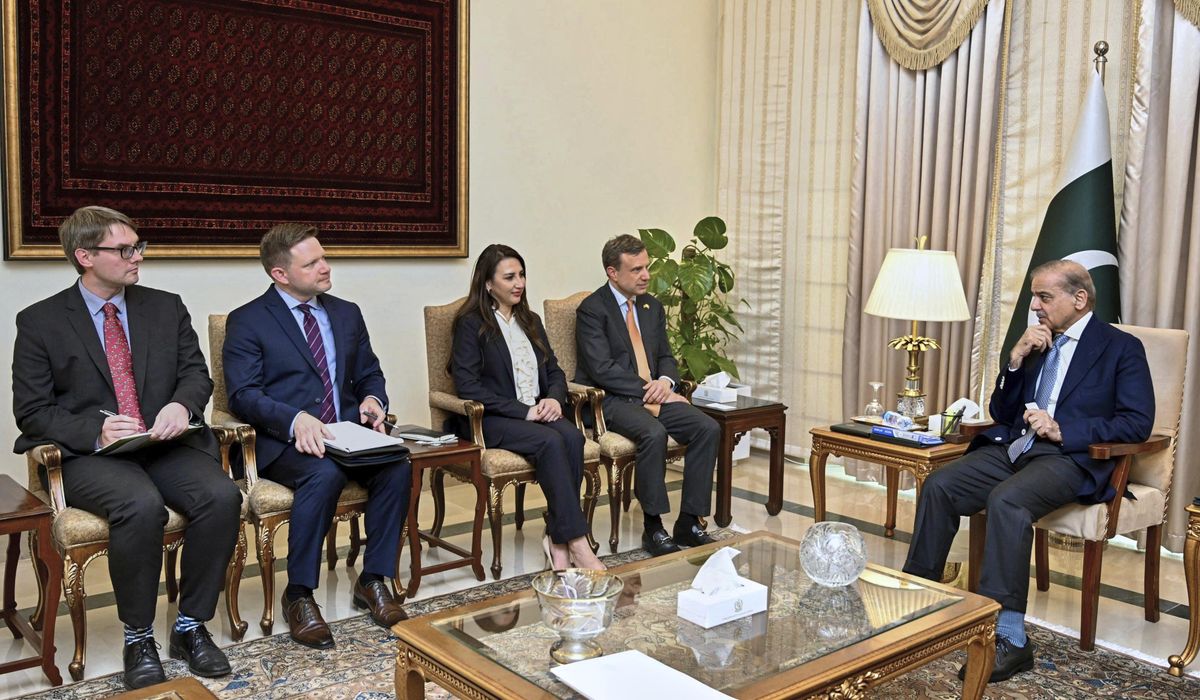 NextImg:Pakistan says U.S. companies seek to invest in the country’s untapped minerals sector
