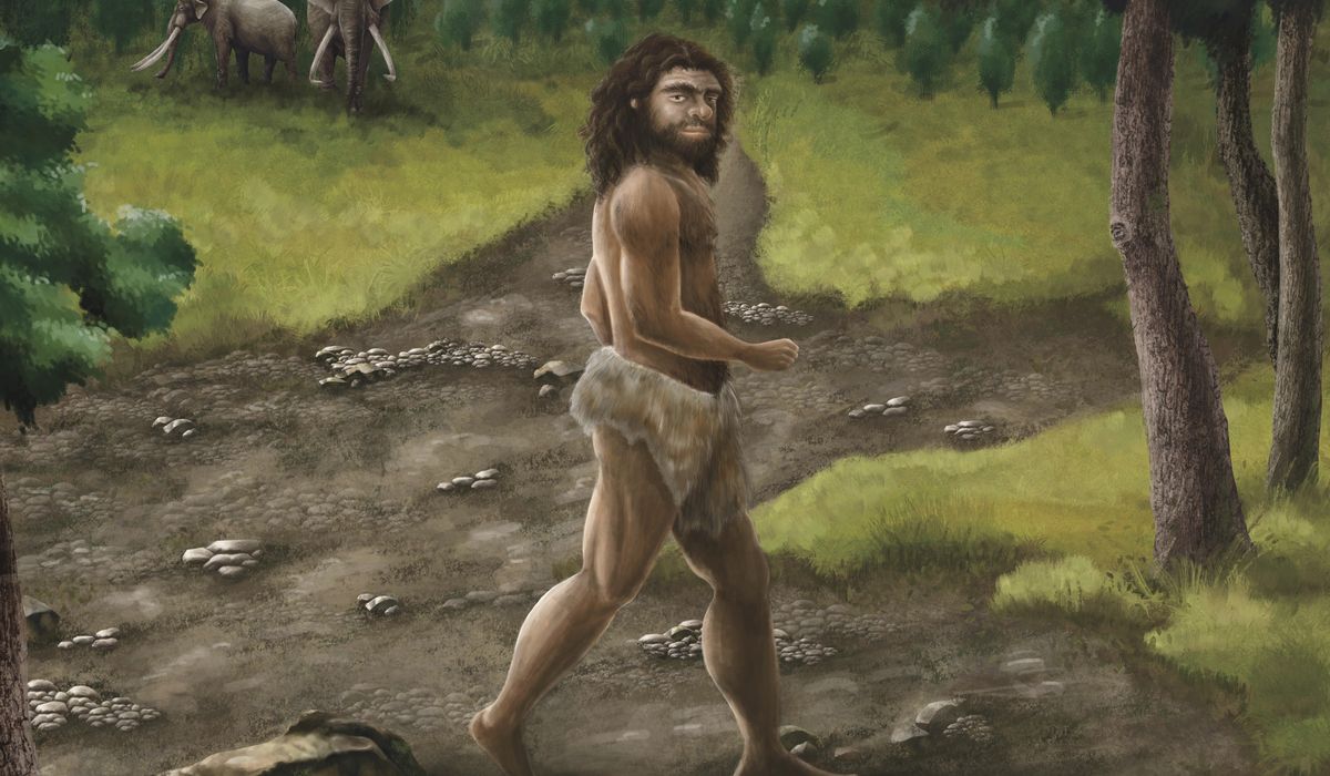 NextImg:Ancient jawbone from Taiwan belongs to a mysterious group of human ancestors, scientists say
