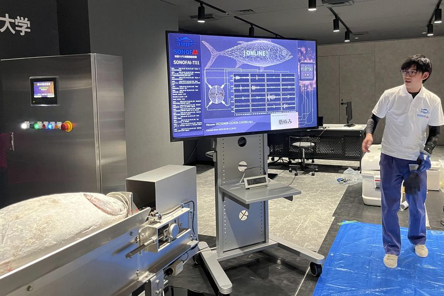 The special machine shown by Fujitsu relays the results of the sound waves beamed on a tuna fish to assess its fattiness shows up on the screen at a Fujitsu facility in Kawasaki, Japan Wednesday, April 9, 2025. (AP Photo/Yuri Kageyama)