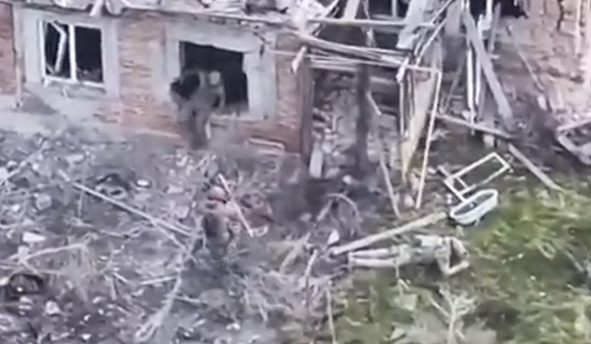 NextImg:A video shows men identified as Russian troops holding Ukrainian POWs. Then the killing begins