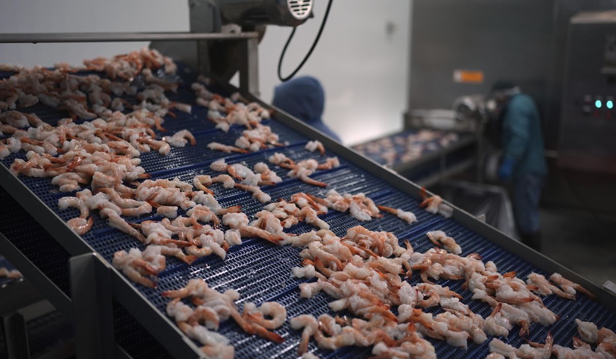 NextImg:Seattle company recalls over 44,000 bags of shrimp over radiation concerns