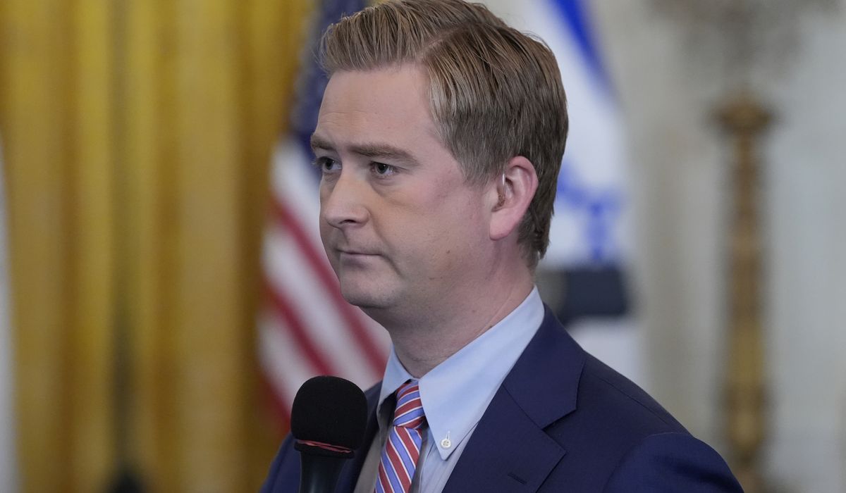 NextImg:Bird lands on head of Fox News White House correspondent Peter Doocy
