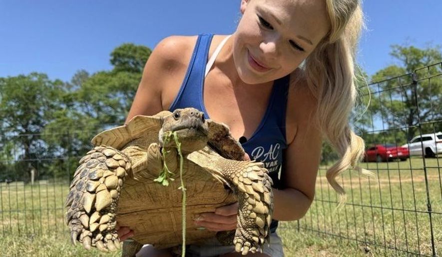 Tiffany Emanuel holds her pet tortoise, Myrtle, in Kokomo, Miss., on Thursday, April 15, 2025. (AP Photo/Sophie Bates)