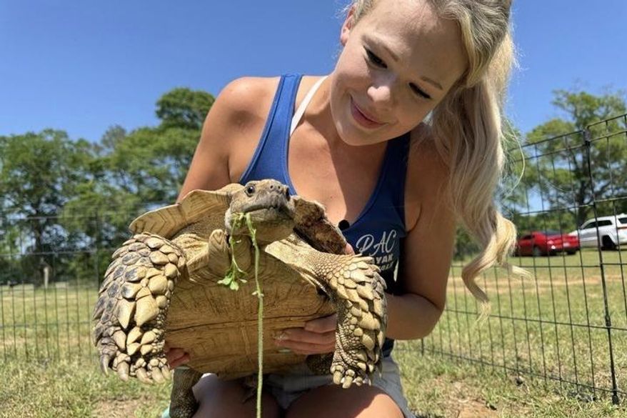 Tiffany Emanuel holds her pet tortoise, Myrtle, in Kokomo, Miss., on Thursday, April 15, 2025. (AP Photo/Sophie Bates)