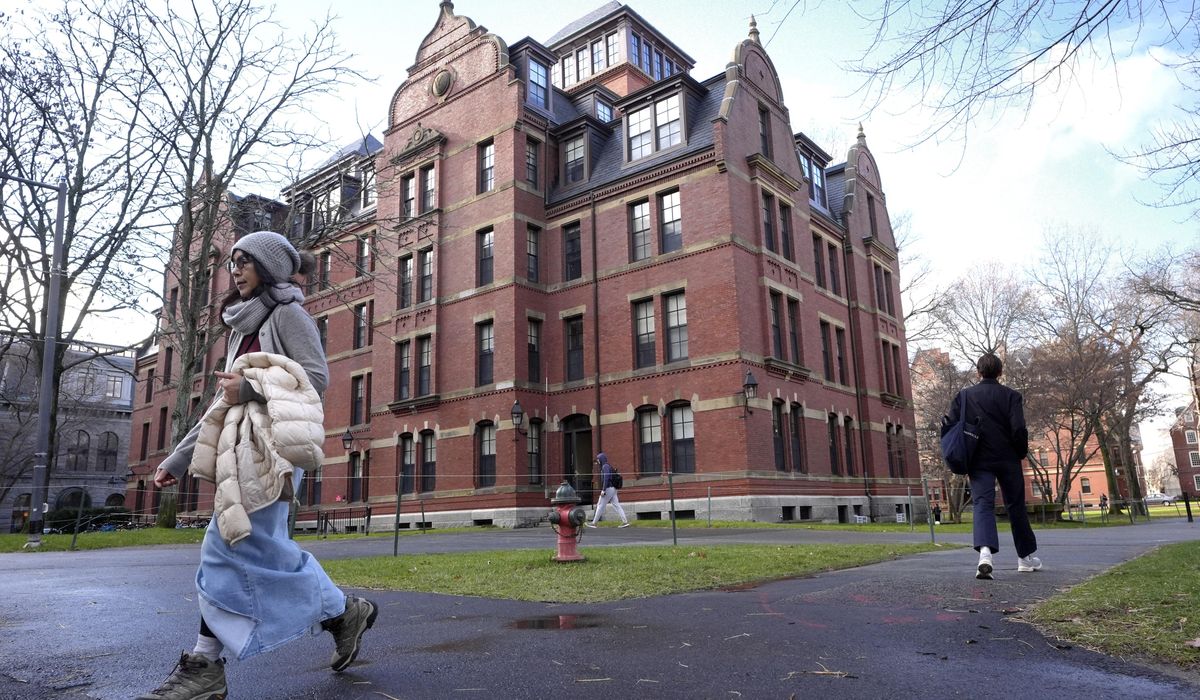 NextImg:Harvard stands to lose $2.2 billion in federal funding. Researchers fear science will suffer