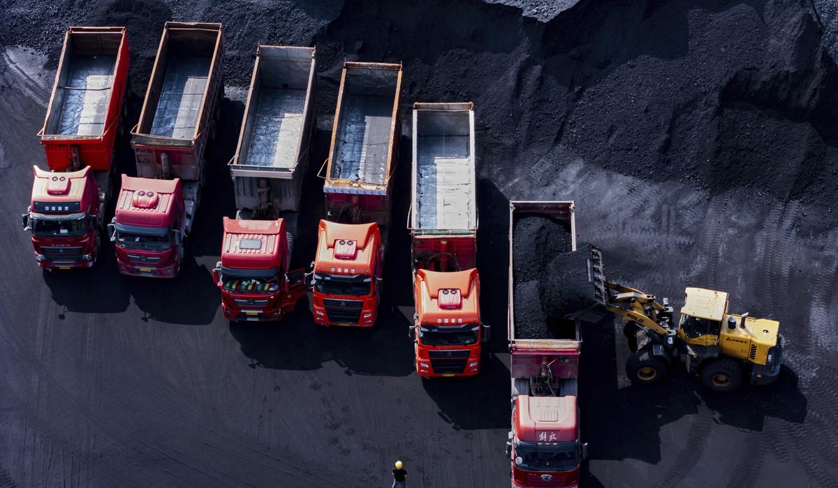 NextImg:A dozen states sue the Trump administration to stop tariff policy