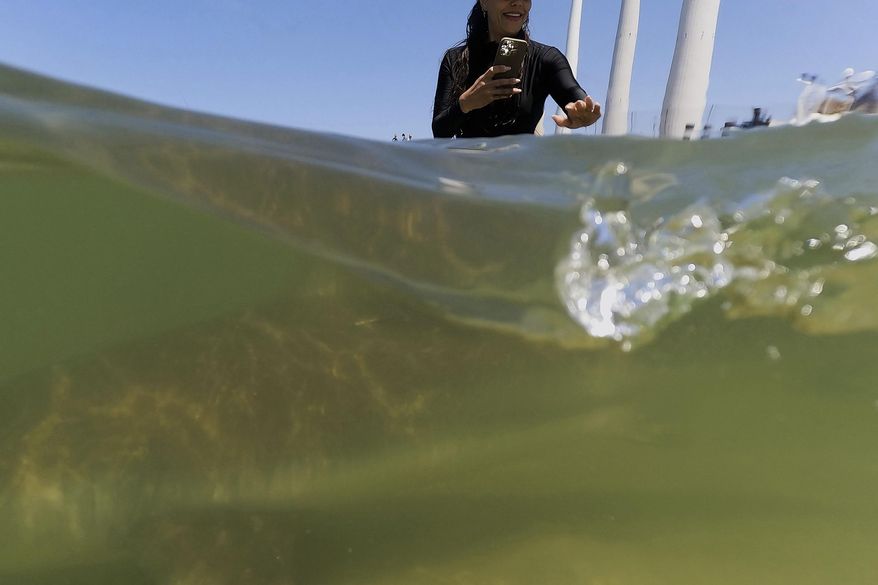 A woman reaches to a shark swimming in Mediterranean Sea in Hadera, Israel, Saturday, April 19, 2025. (AP Photo/Ariel Schalit)