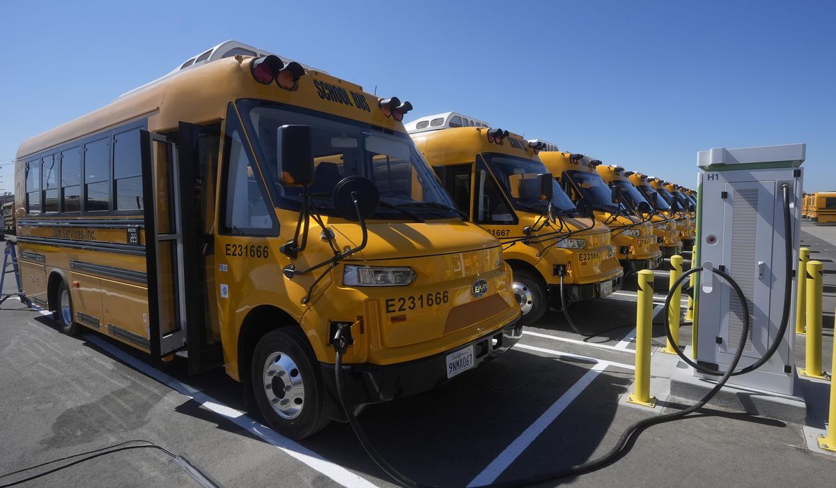 NextImg:California expands its electric school bus fleet as federal freeze paused efforts elsewhere
