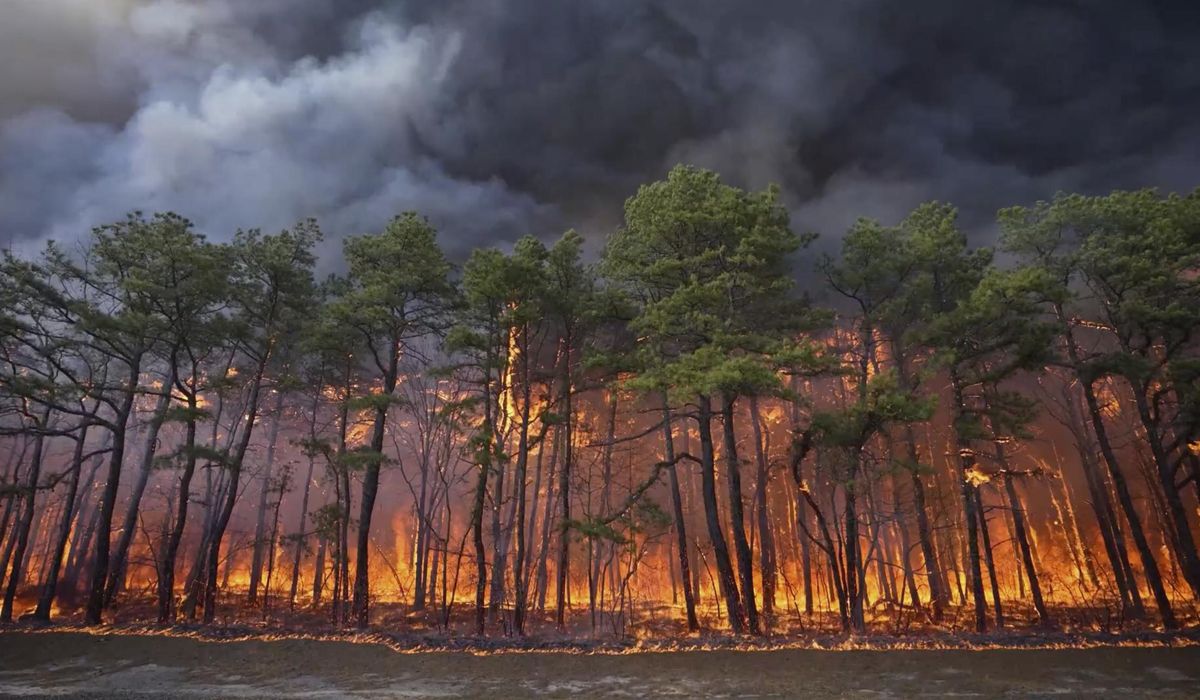 NextImg:Wildfire in New Jersey Pine Barrens expected to grow before it’s contained, officials say
