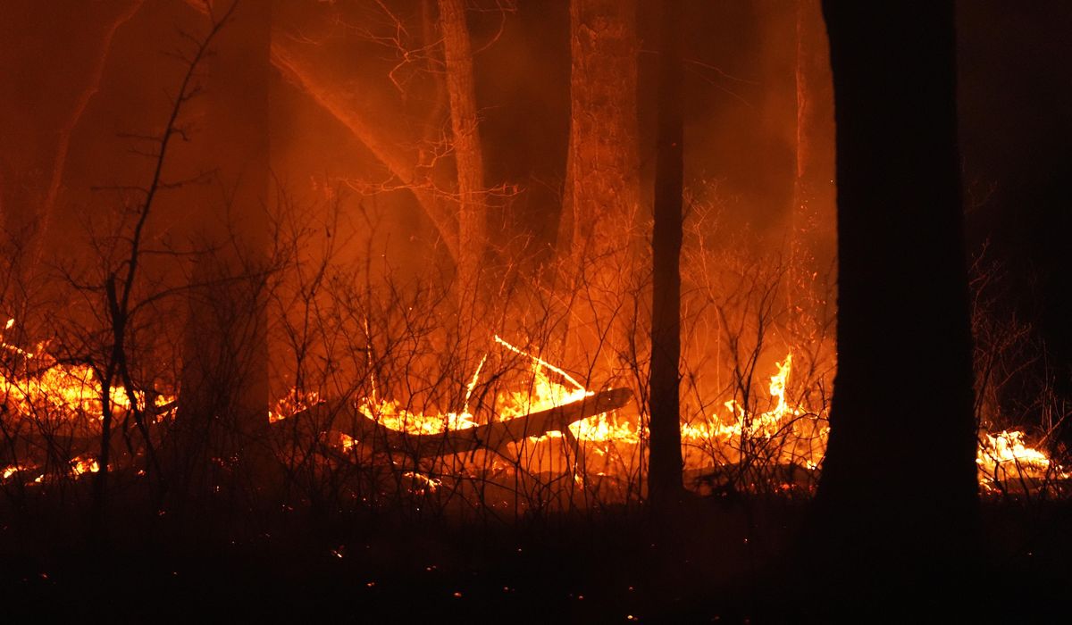 NextImg:Evacuation orders lifted as fast-moving New Jersey wildfire burns