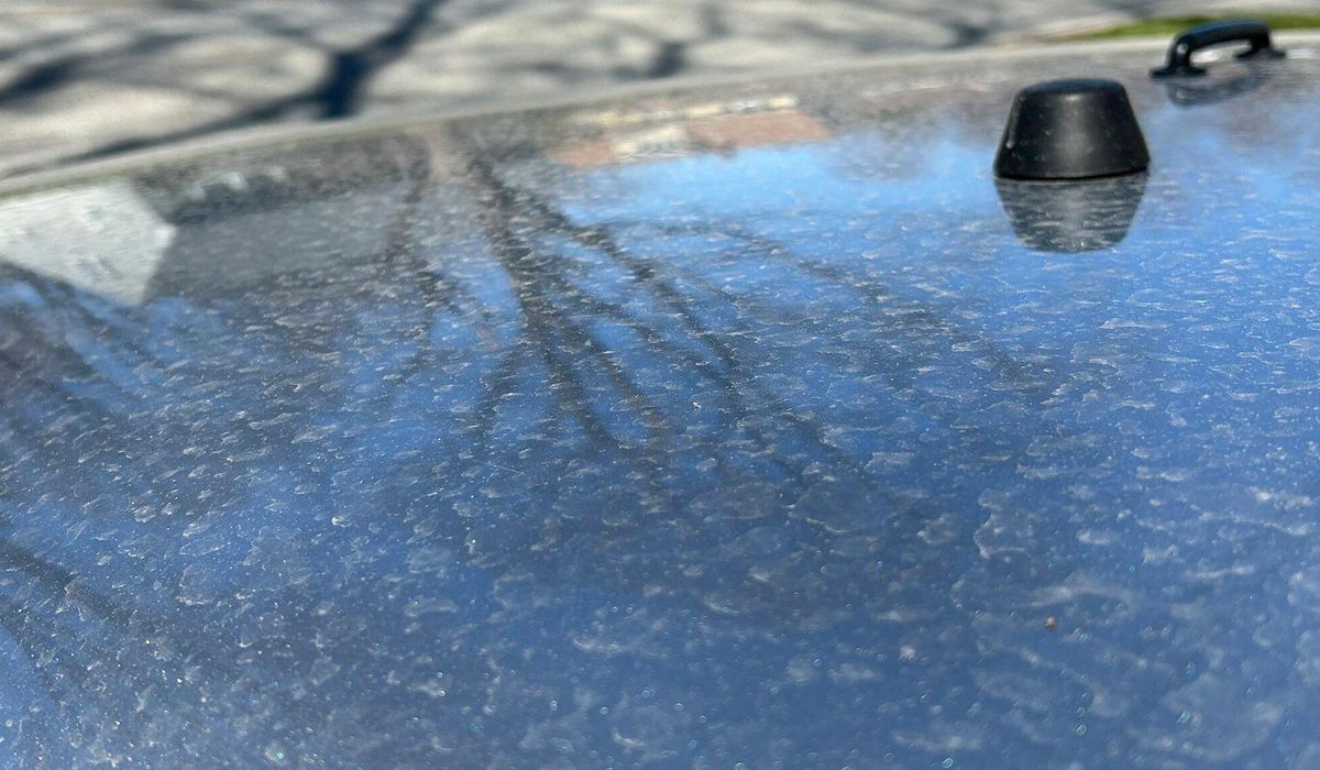 NextImg:April showers bring ‘dirty rain’ to New England