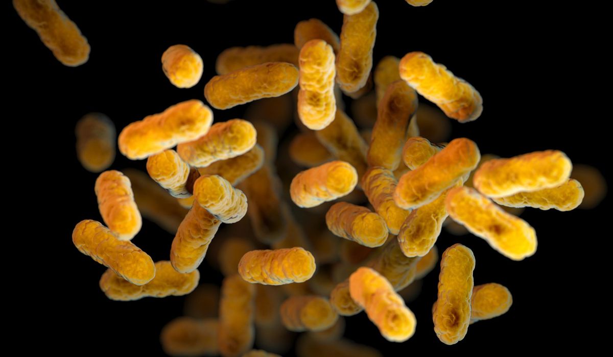 NextImg:Whooping cough cases are rising again in the U.S.