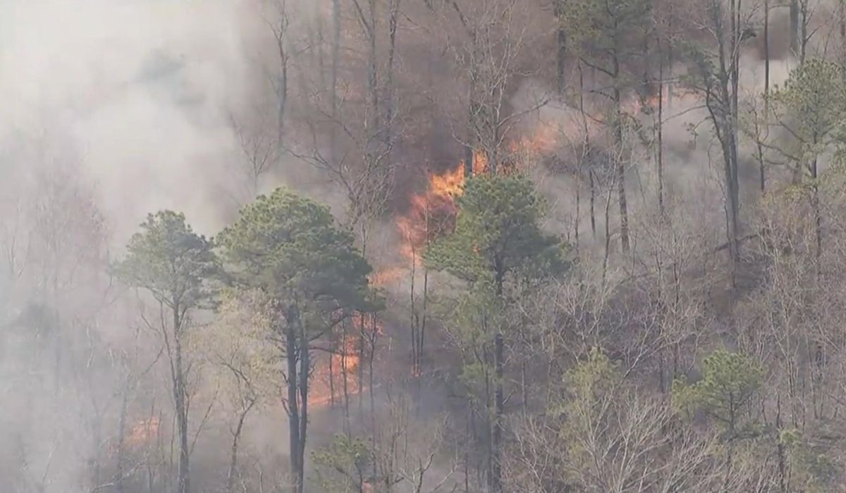 NextImg:Man charged with arson after authorities say he sparked New Jersey Pine Barrens fire