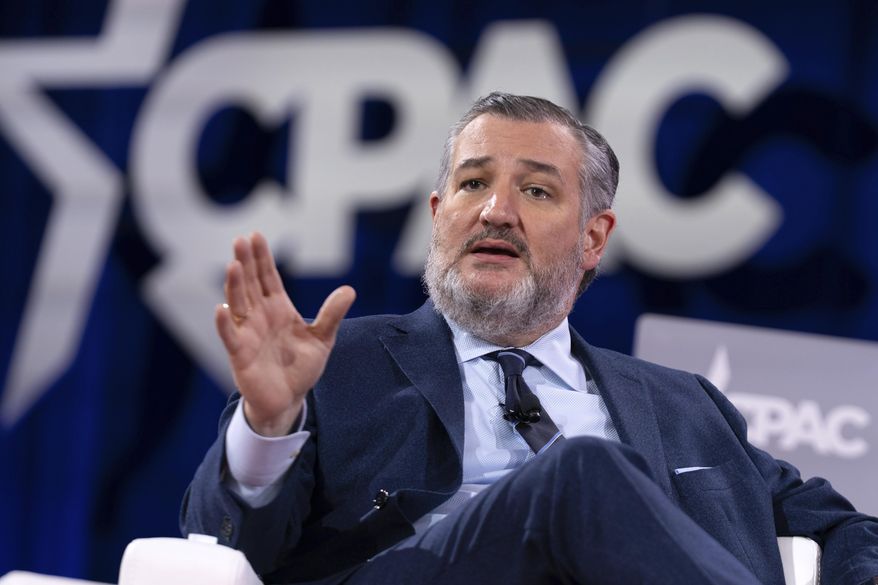 Sen. Ted Cruz, R-Texas, speaks at the Conservative Political Action Conference, CPAC, at the Gaylord National Resort & Convention Center, Feb. 20, 2025, in Oxon Hill, Md. (AP Photo/Jose Luis Magana, File)