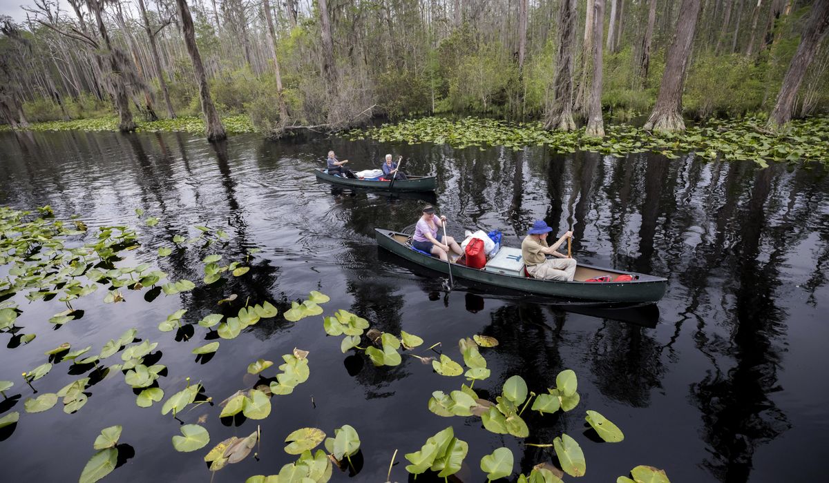 NextImg:A former Trump official backs World Heritage status for the vast Okefenokee Swamp