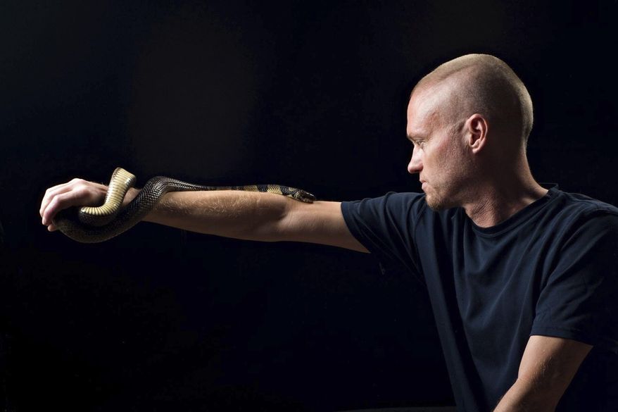 This undated photo provided by Centivax in 2025 shows Tim Friede, who is hyper-immune to the venom of various snakes, with a water cobra wrapped around his arm. (Centivax via AP)
