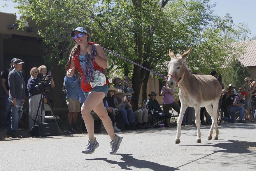 Pack burros and their human companions race through the streets of a former mining town and across backcountry desert trails in Cerrillos, N.M., on Saturday, May 3, 2025. (AP Photo/Morgan Lee)
