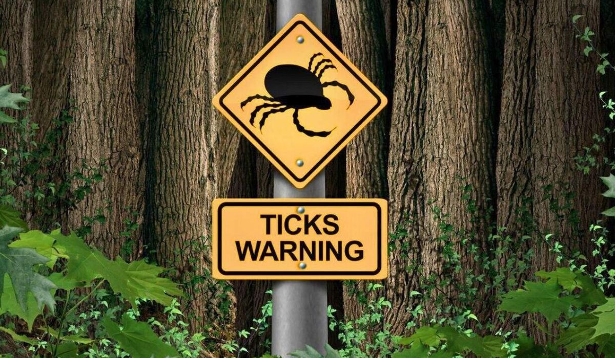 NextImg:Tick varieties are creeping into new parts of the U.S., spreading disease
