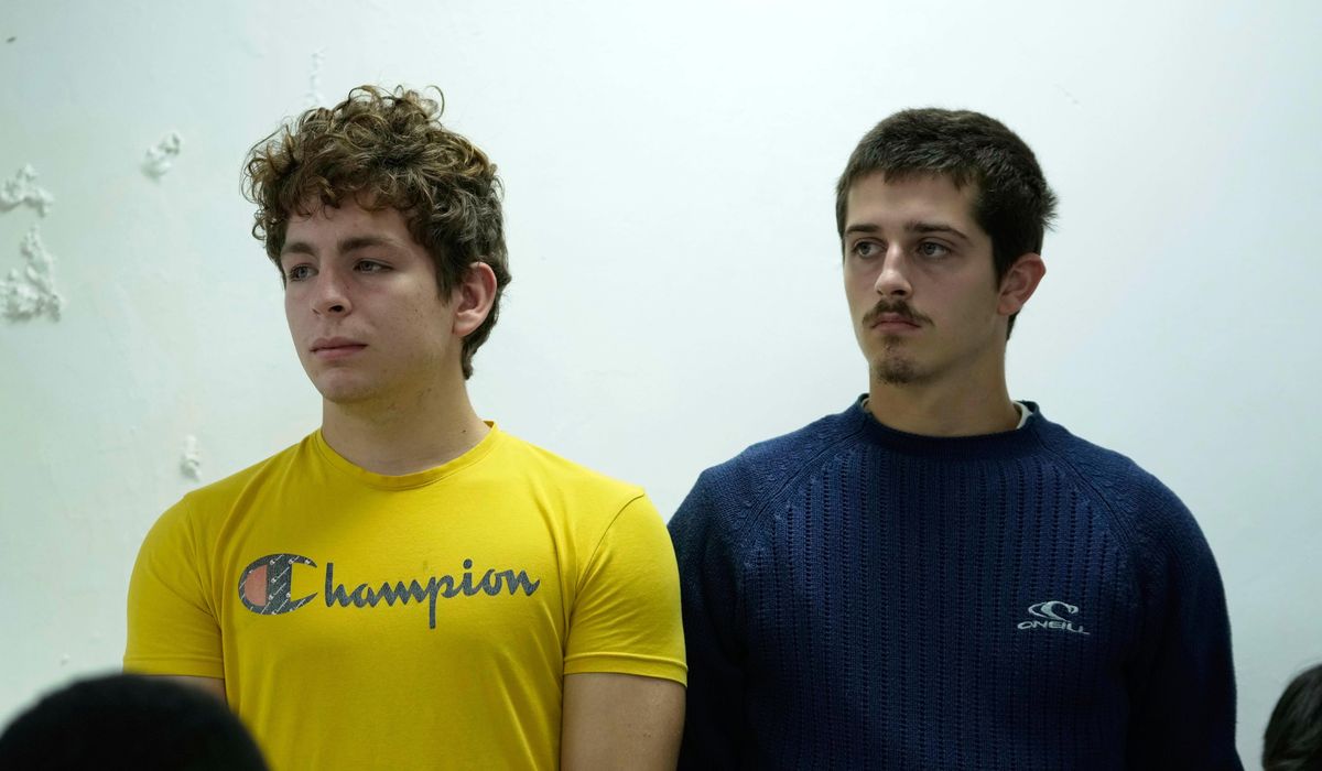 NextImg:Two Belgian teenagers found with 5,000 ants in Kenya given $7,700 fine or 1-year prison sentence