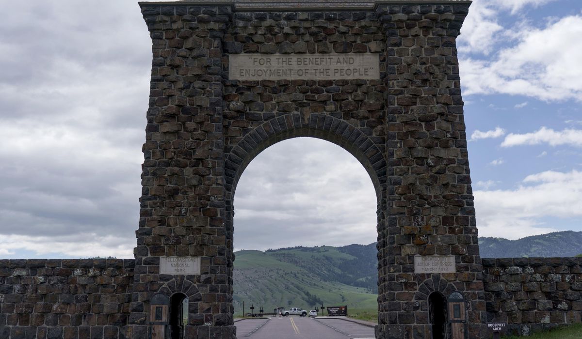 NextImg:Florida man gored by bison in year’s first attack by Yellowstone’s most dangerous wild animal