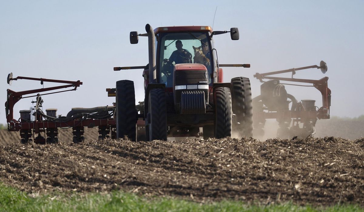 NextImg:A tough row to hoe: Trump-loving farmers weather low crop prices, tariff costs on fertilizer