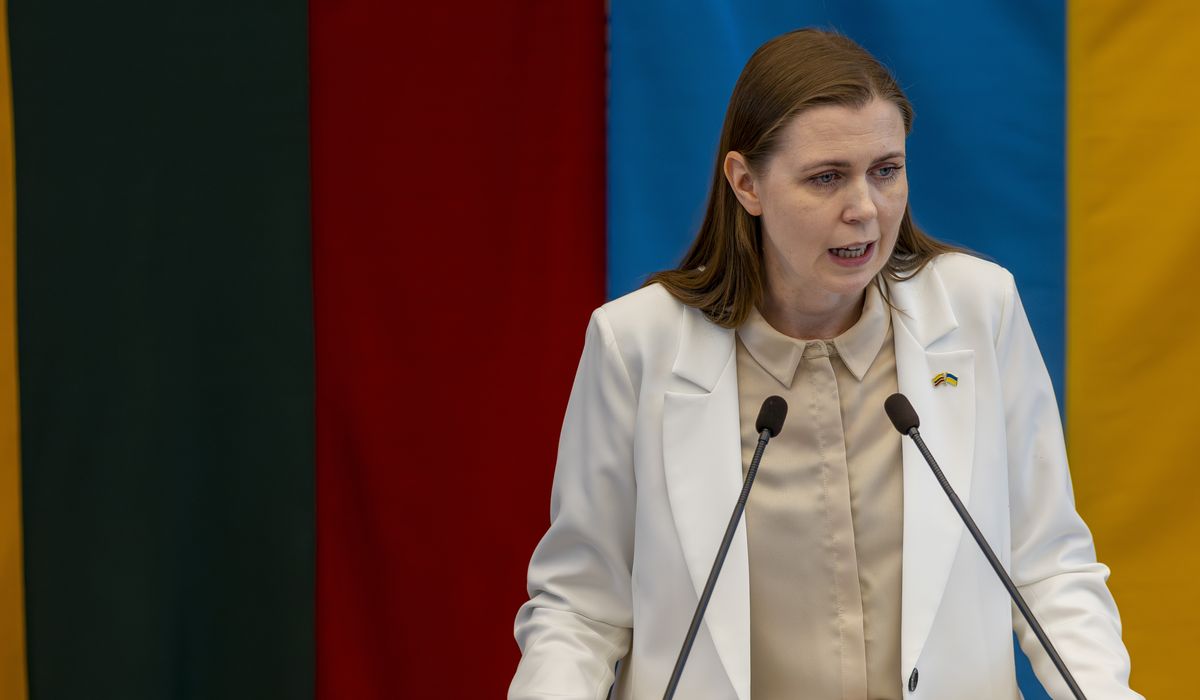 NextImg:Lithuanian defense chief says NATO’s spending aim should be 5%