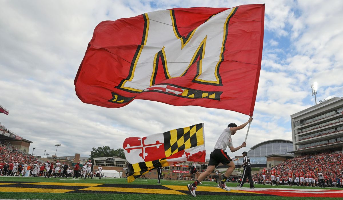 NextImg:University of Maryland tackling body lice infection in McKeldin Library and Kirwan Hall