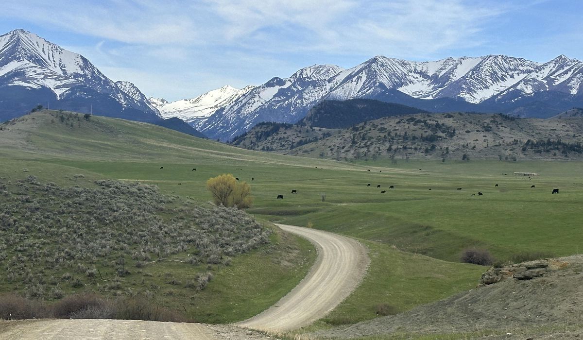 NextImg:National Guard helicopter crew landed on Montana ranch and trespassed to take antlers, citations say