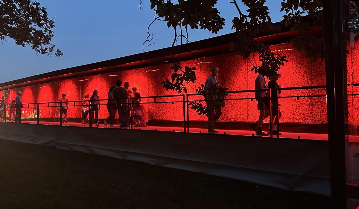 NextImg:Wall of poppies on National Mall honors 600,000 Americans who died in battle since WWI