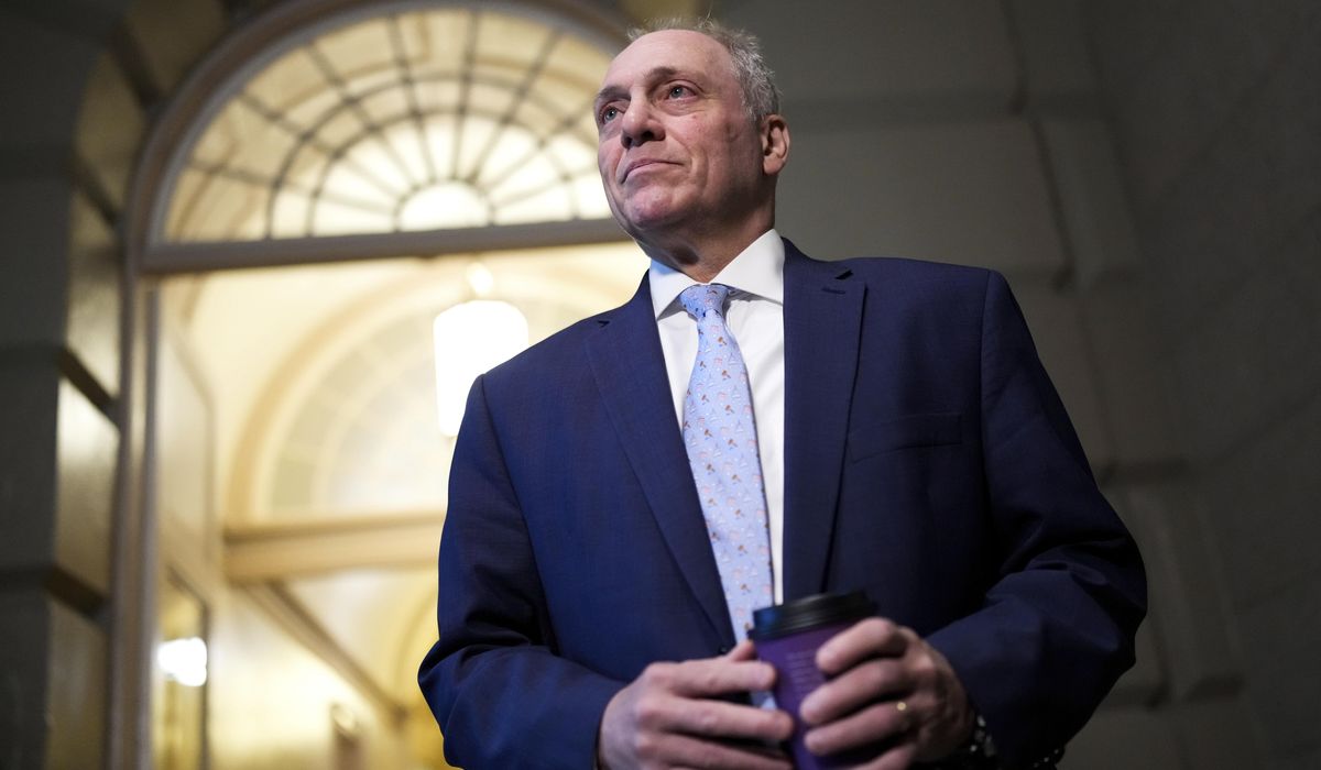 NextImg:Iranian woman released from ICE detention after Scalise steps in