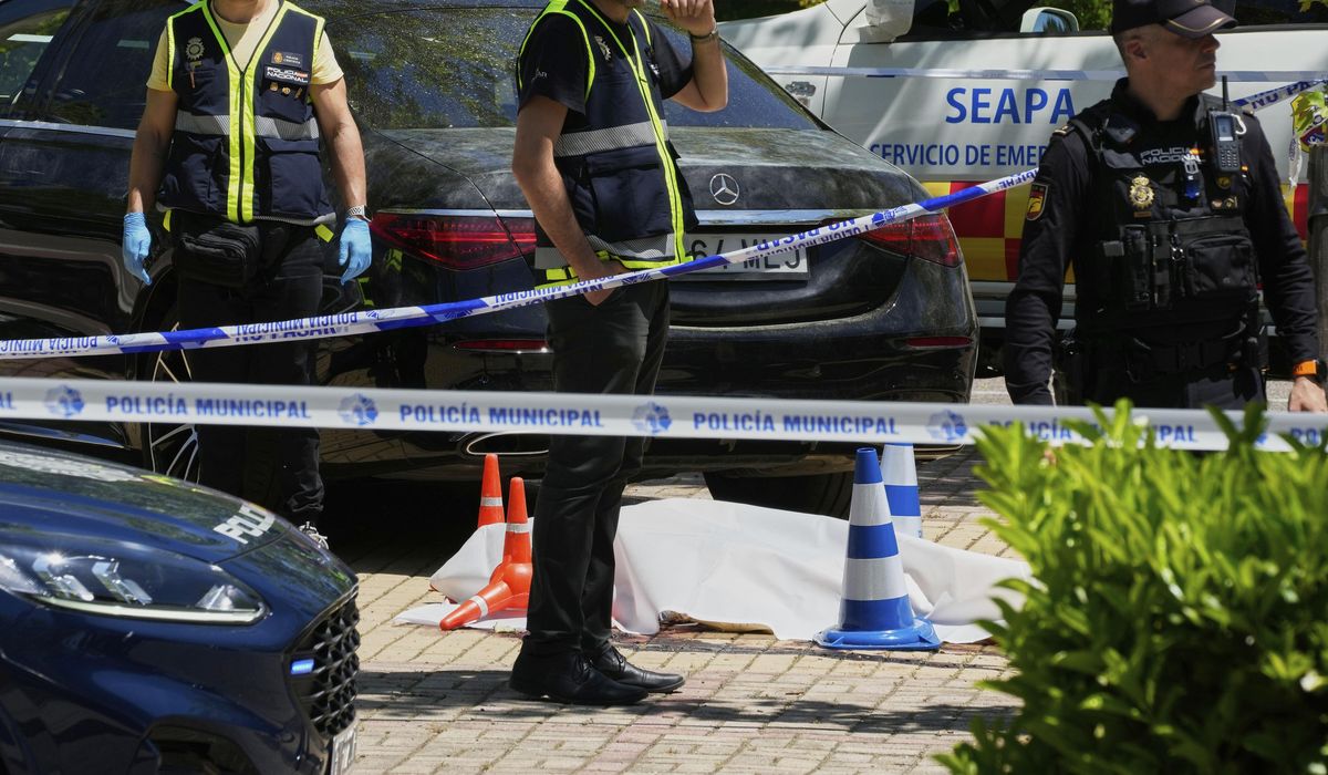 NextImg:An adviser to an ex-Ukrainian president is killed near an American school in Spain, officials say