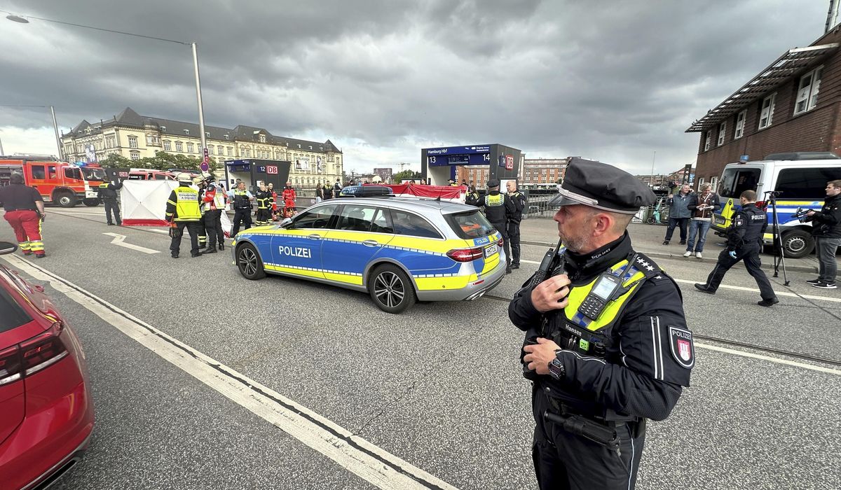 NextImg:12 people injured in stabbing at Hamburg train station, authorities say