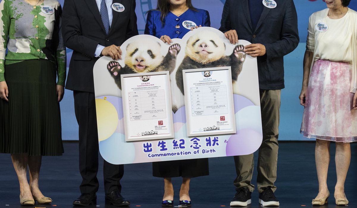 NextImg:Hong Kong’s baby pandas finally have names. Meet Jia Jia and De De