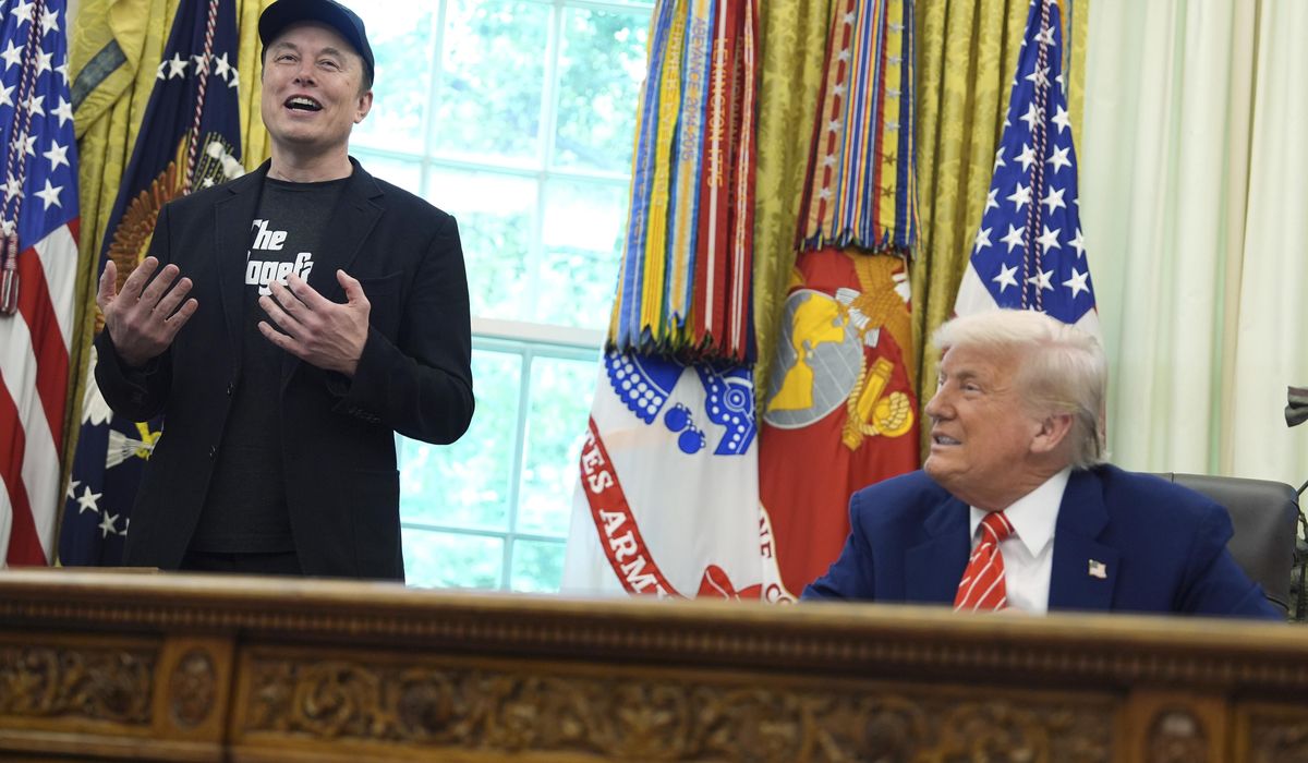 NextImg:‘Just the beginning’: Elon Musk might be leaving, but DOGE lives on