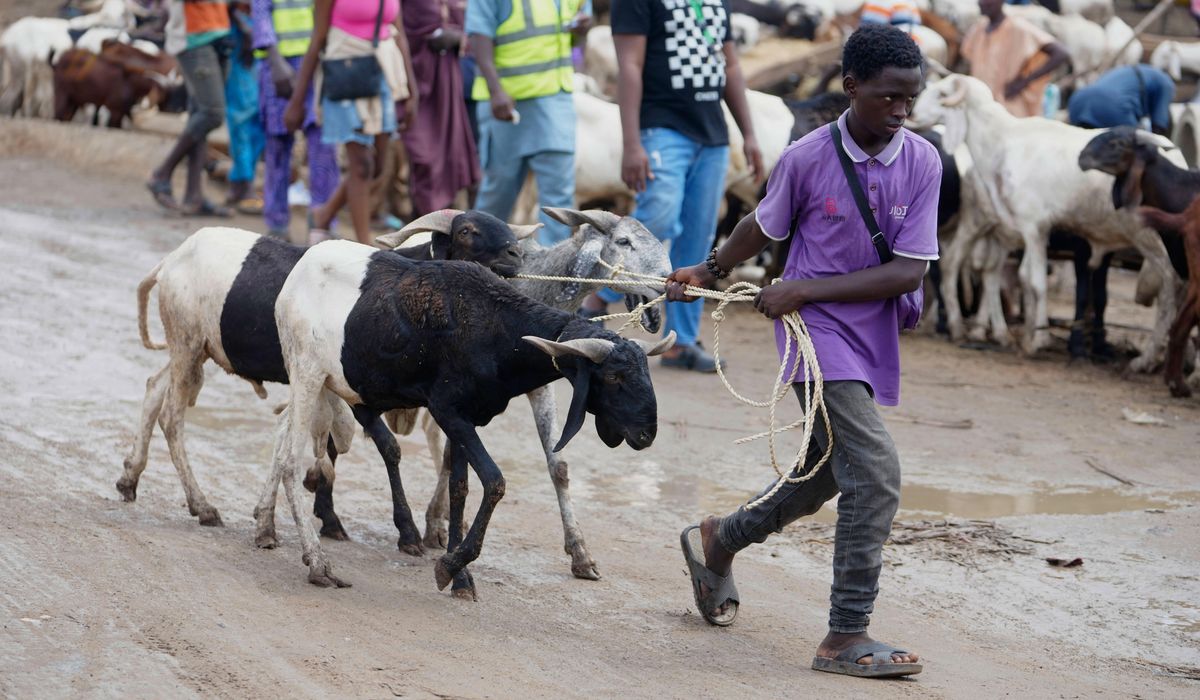 NextImg:Muslims look forward to the annual Eid feast. Many Africans are now struggling to afford it