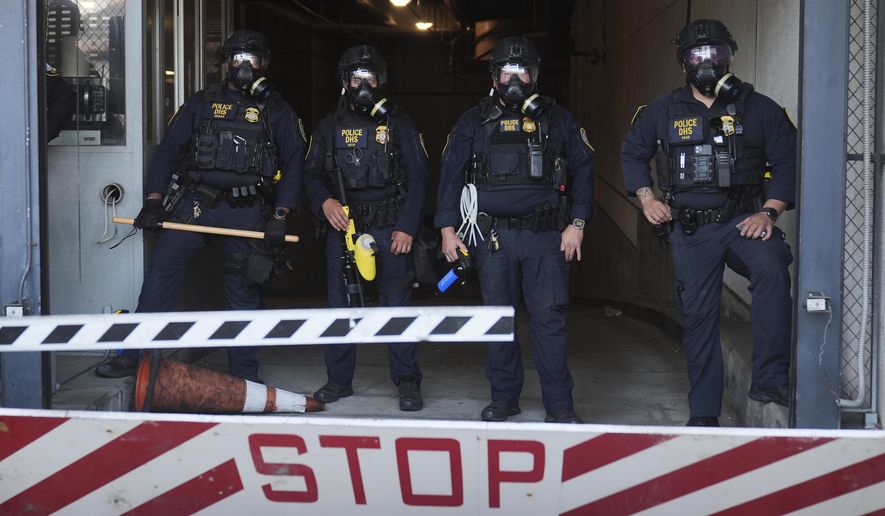 Department of Homeland Security police officers stand during a protest after federal immigration authorities conducted an operation on Friday, June 6, 2025, in Los Angeles. (AP Photo/Jae C. Hong) **FILE**
