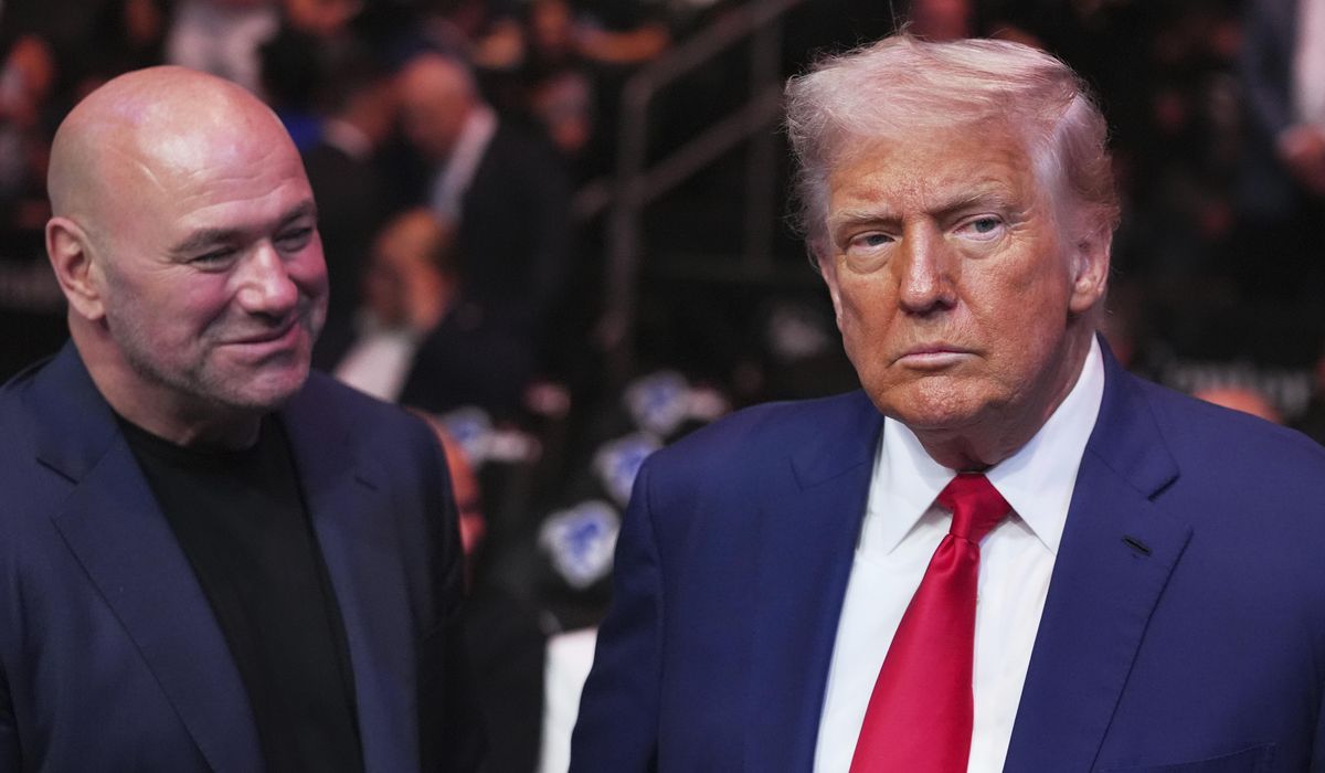 NextImg:White House to host UFC bout amid America 250 celebration