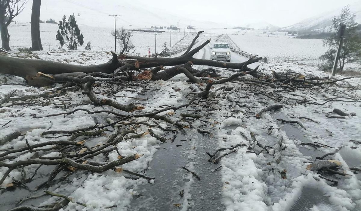 NextImg:At least 49 people have died in flooding in South Africa with toll expected to rise, officials say