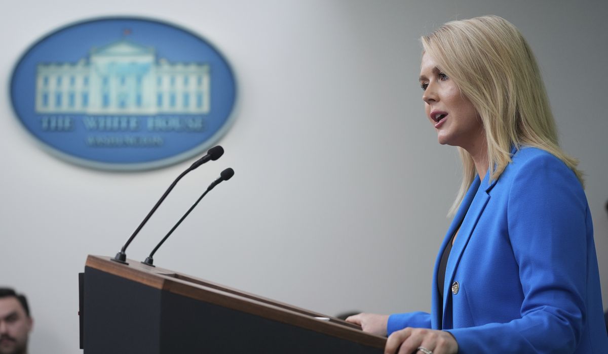 NextImg:Karoline Leavitt slams reporter’s ‘stupid’ question about Trump supporting peaceful protests