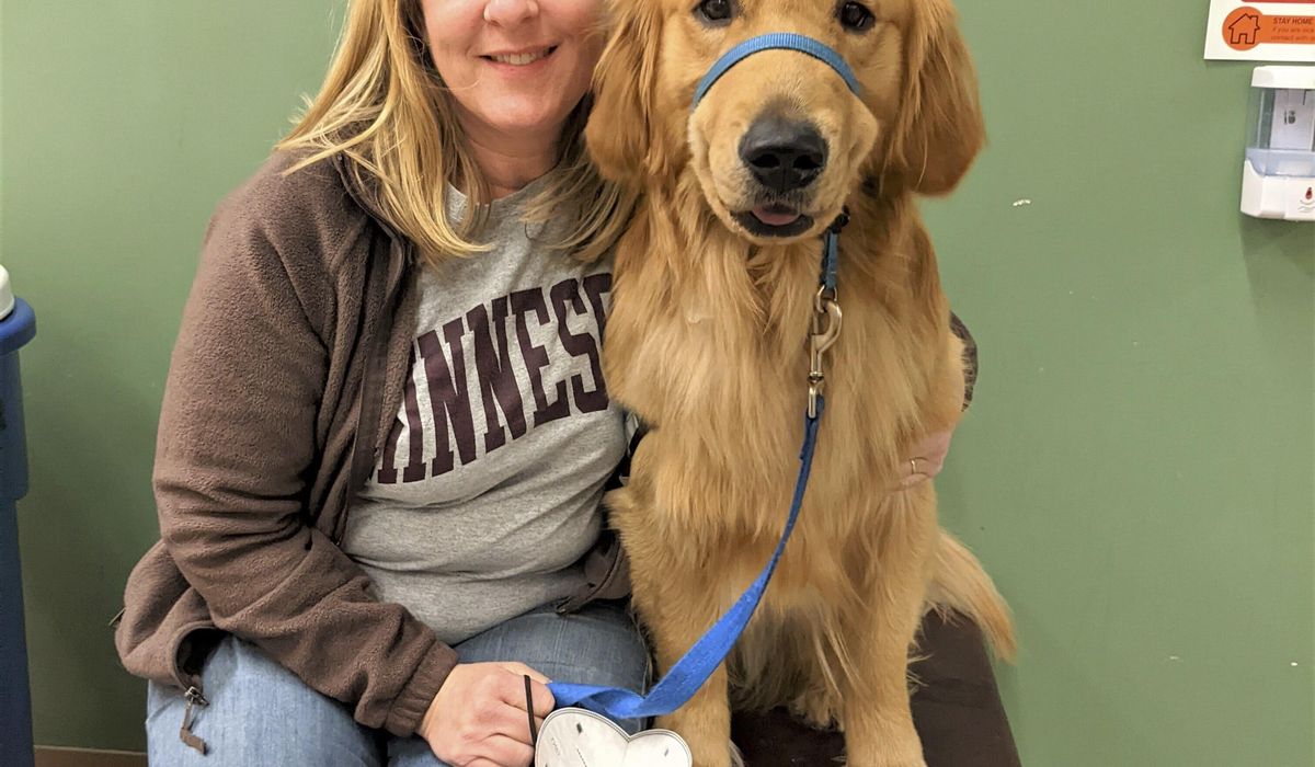 NextImg:A slain Minnesota lawmaker’s beloved dog, Gilbert, stays with her as she and her spouse lie in state