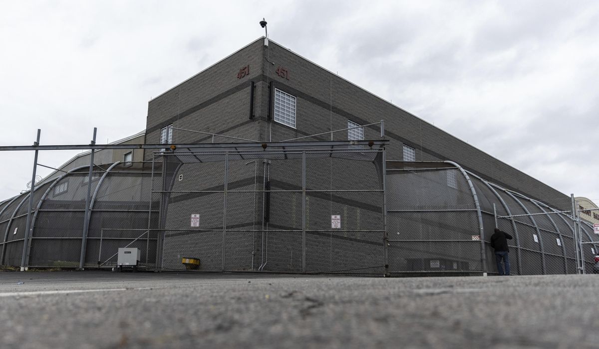 NextImg:Dem lawmakers sue ICE to demand access