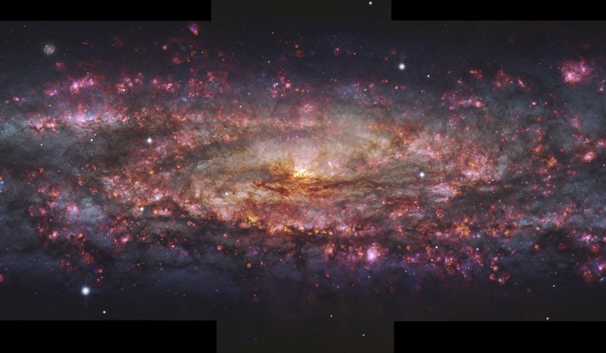 NextImg:This photo of the nearby Sculptor galaxy spans 65,000 light years