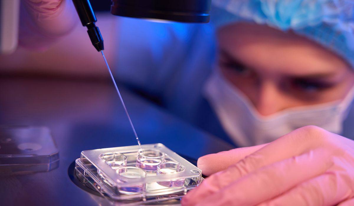 NextImg:Designer babies or dystopian nightmare? The genetic optimization debate
