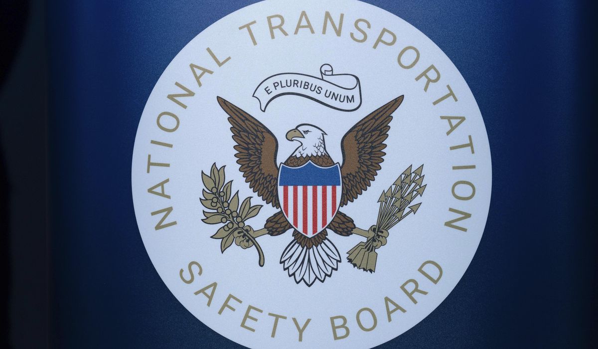 NextImg:Fatal North Carolina plane crash caused by pilot’s attempts to avoid turtle on runway, NTSB finds