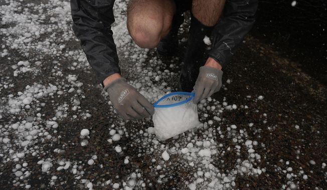 Tony Illenden crouches outside Northern Illinois University's Husky Hail Hunter to scoop hail into a bag while in a hailstorm during a Project ICECHIP operation Friday, June 6, 2025, in Levelland, Texas. (AP Photo/Carolyn Kaster)