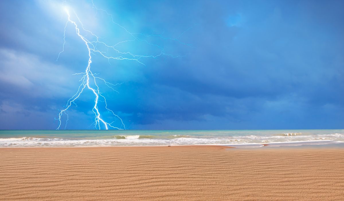NextImg:Eight adults, 12 children hospitalized after lightning strike in South Carolina
