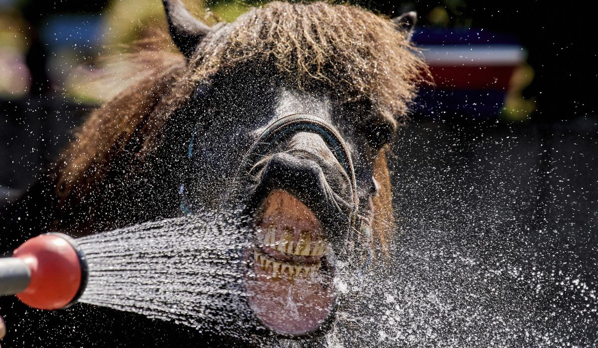 NextImg:Photos show how extreme heat is affecting parts of Europe